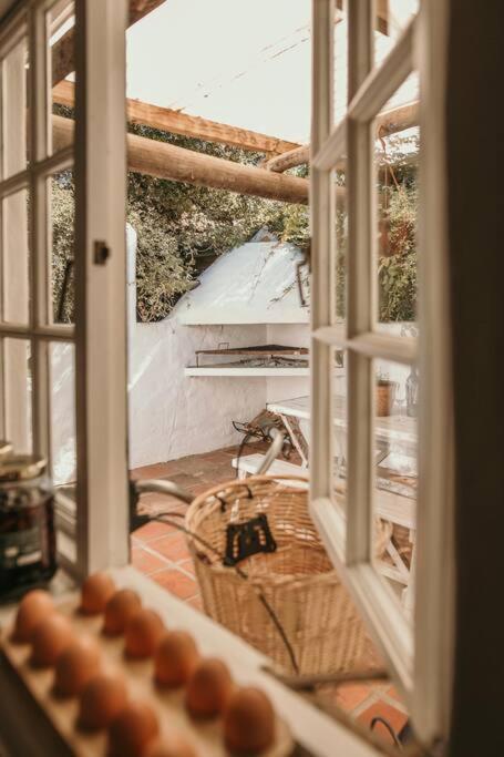 Classic Greyton Cottage For Two Kültér fotó